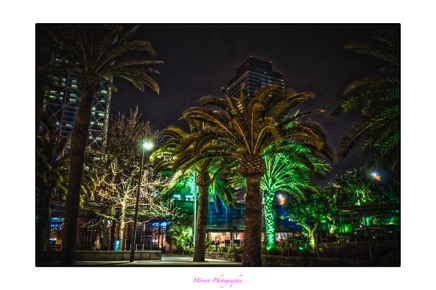 Hörnet-Photographie-barcelona (46 von 49).jpg
