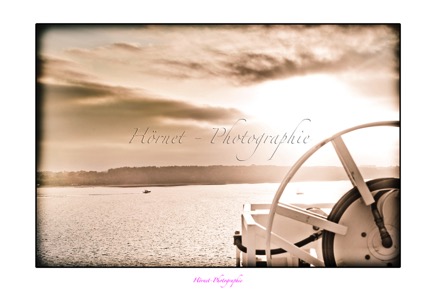 Hörnet-Photographie-new-life-22.jpg